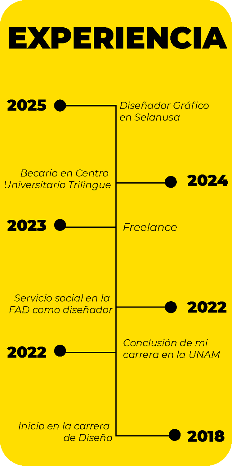 línea de tiempo
