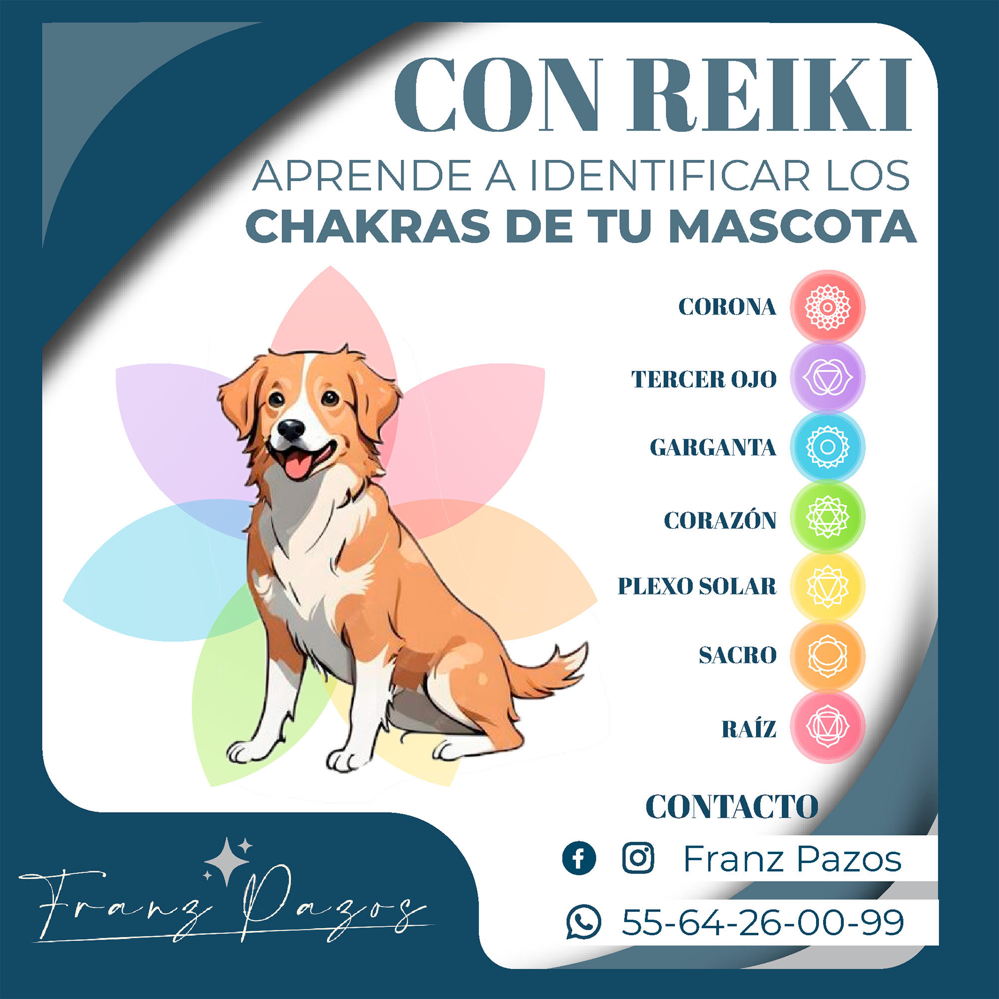 reiki mascota